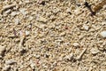 Coral beach sand closeup for background. Tropical beach photo.