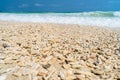 coral beach Skye island in Scotland, like tropical paradise Royalty Free Stock Photo