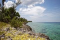 Coral beaches and turquoise water on the wild noon coast of Cuba, Bay of Pigs Royalty Free Stock Photo