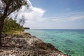 Coral beaches and turquoise water on the wild noon coast of Cuba, Bay of Pigs Royalty Free Stock Photo