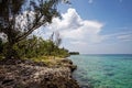 Coral beaches and turquoise water on the wild noon coast of Cuba, Bay of Pigs Royalty Free Stock Photo