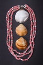 Coral beads and seashell