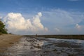 Coral bedrock with seaweed and plants above the Indian Ocean at low tide. Falling sea levels create ponds in the seabed. Clouds. Royalty Free Stock Photo