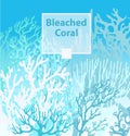 Coral Bleaching occurs rising sea temperatures