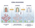 Coral bleaching process with stressed and bleached stages outline diagram Royalty Free Stock Photo