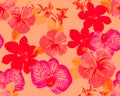 Coral Botanical Plant. Pink Orchid Background. Red Hibiscus Texture. Flower Textile. Watercolor Jungle. Seamless Jungle. Pattern T Royalty Free Stock Photo