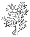 Coral branch sketch. Underwater reef fauna symbol