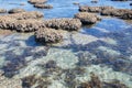 Coral Coast: Blue Holes, Western Australia Royalty Free Stock Photo