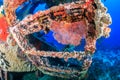 Coral Encrusted Shipwreck Royalty Free Stock Photo