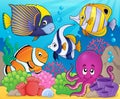 Coral fauna theme image 7