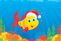 Coral fish wearing a Christmas cap Royalty Free Stock Photo
