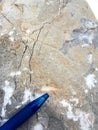 Coral fossil in Thailand with pen as a scale Royalty Free Stock Photo