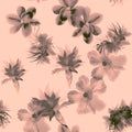 Coral Hibiscus Background. Brown Watercolor Illustration. Gray Seamless Texture. Flower Background Pattern Leaf. Tropical Leaf. Su