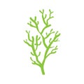 Coral icon vector. seaweed illustration sign. underwater world symbol or logo.