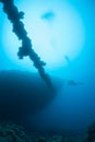 Coral life diving Pacific Ocea