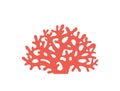 Coral logo. Isolated coral on white background