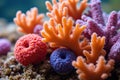 Coral Macro Photography Closeups Royalty Free Stock Photo