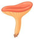 Coral milky cap mushroom. Forest nature cartoon icon