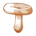 Coral milky cap mushroom icon, Lactarius torminosus