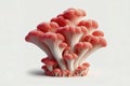 Coral Mushroom isolated on solid white background. ai generative