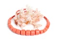 Coral and necklace isolated on white background Royalty Free Stock Photo