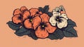 Coral Pansy Vector Illustration In Black Line Art Style Royalty Free Stock Photo