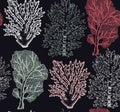 Seamless pattern with hand drawn sea fans corals - gorgonia sketch. Vector background with underwater natural elements. Vintage se Royalty Free Stock Photo