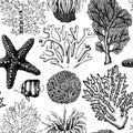 Seamless pattern with hand drawn sea fans corals - gorgonia sketch. Vector background with underwater natural elements. Vintage se Royalty Free Stock Photo