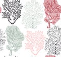 Seamless pattern with hand drawn sea fans corals - gorgonia sketch. Vector background with underwater natural elements. Vintage se Royalty Free Stock Photo