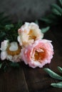 Coral peonies in a glass vase on a wooden table. Drops of water fall on the petals. Royalty Free Stock Photo