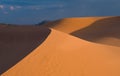 Coral Pink Sand Dunes