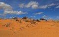 Coral Pink Sand Dunes Park Royalty Free Stock Photo