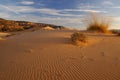 Coral Pink Sand Dunes And Ripples