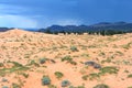 Coral Pink Sand Dunes State Park in Utah at sunset Royalty Free Stock Photo