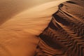 Coral Pink Sand Dunes, Utah