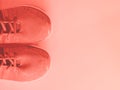 Coral pink trainers on empty background. Royalty Free Stock Photo