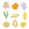 Coral Polyps and Seashell as Marine Fauna Vector Set