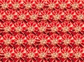 Coral red crimson blooming flowers floral natural botanical pattern texture spring summer background Royalty Free Stock Photo