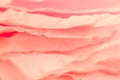 Coral red paper layers background rose petals