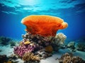 Ai Generated illustration Wildlife Concept of Coral reef with beautiful great orange sea sponge underwater Royalty Free Stock Photo