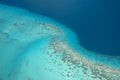 Coral reef at Borabora