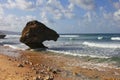 Coral reef boulders on the beach at Bathsheba