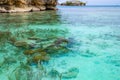 Coral reef close up in the turquoise transparent water of tropical sea. Uncontaminated environment in the Togian Islands or Togean Royalty Free Stock Photo