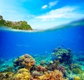 Coral reef, colorful fish and sunny sky shining through clean ocean water.