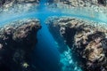 Coral Reef Crevice Royalty Free Stock Photo
