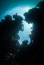 Coral Reef Crevice in Raja Ampat