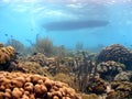 Coral reef and dive boat Royalty Free Stock Photo