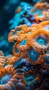 Coral reef ecosystem, underwater beauty Royalty Free Stock Photo