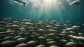 coral reef and fish A large school of fish swim in circles in the ocean, with some sunlight streaming through the water.