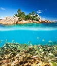 Coral reef and fish at Seychelles Royalty Free Stock Photo